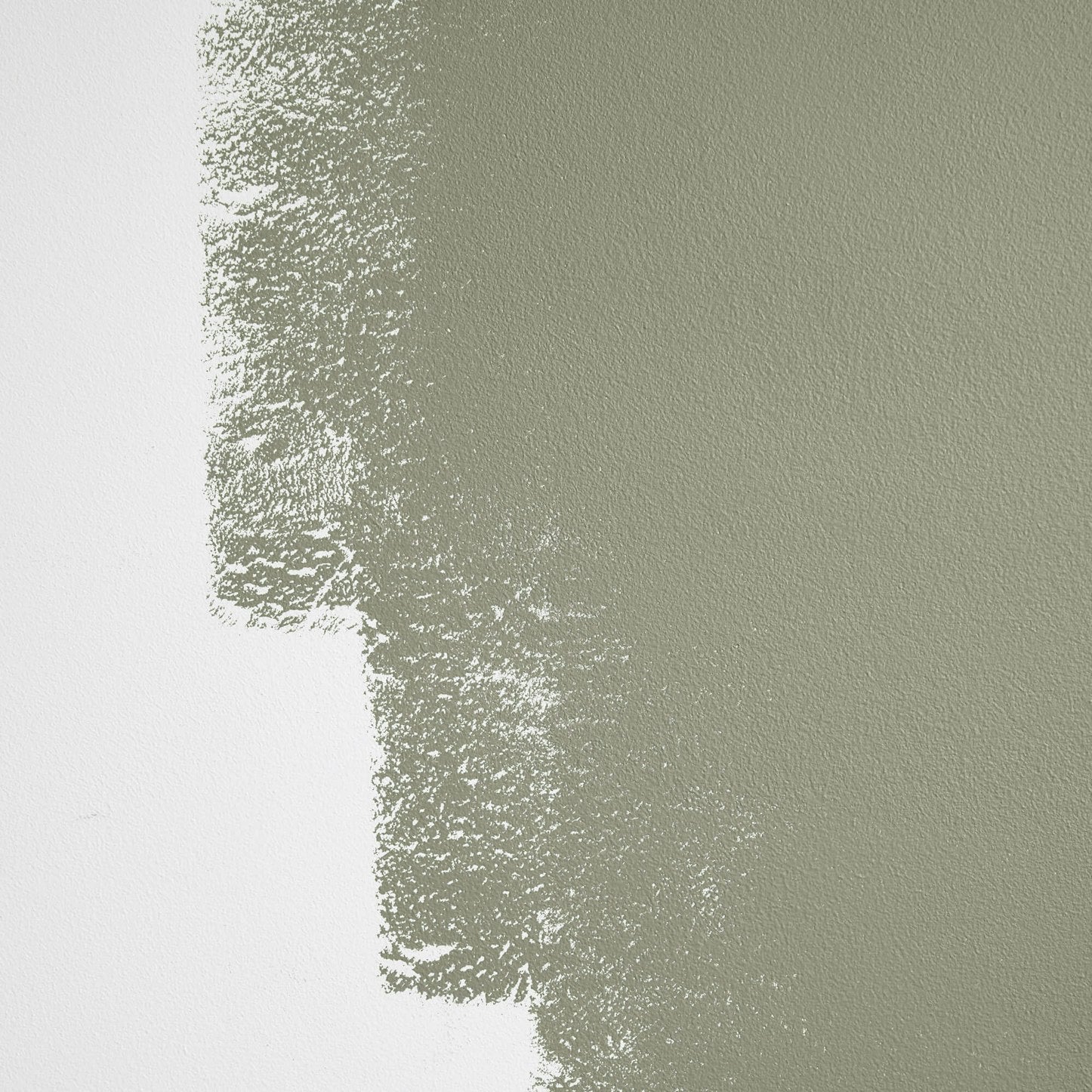 Backdrop Paint - Saged