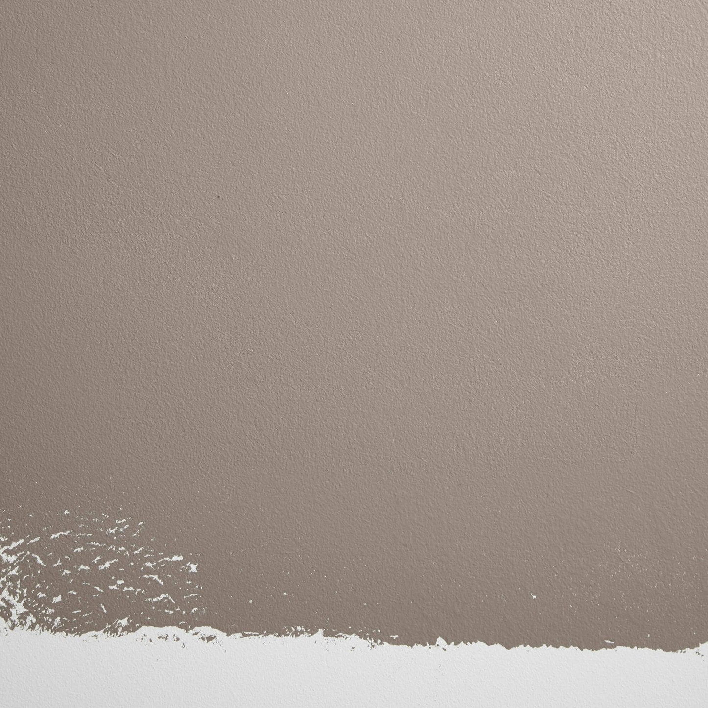 Backdrop Paint - Sentimental Reasons