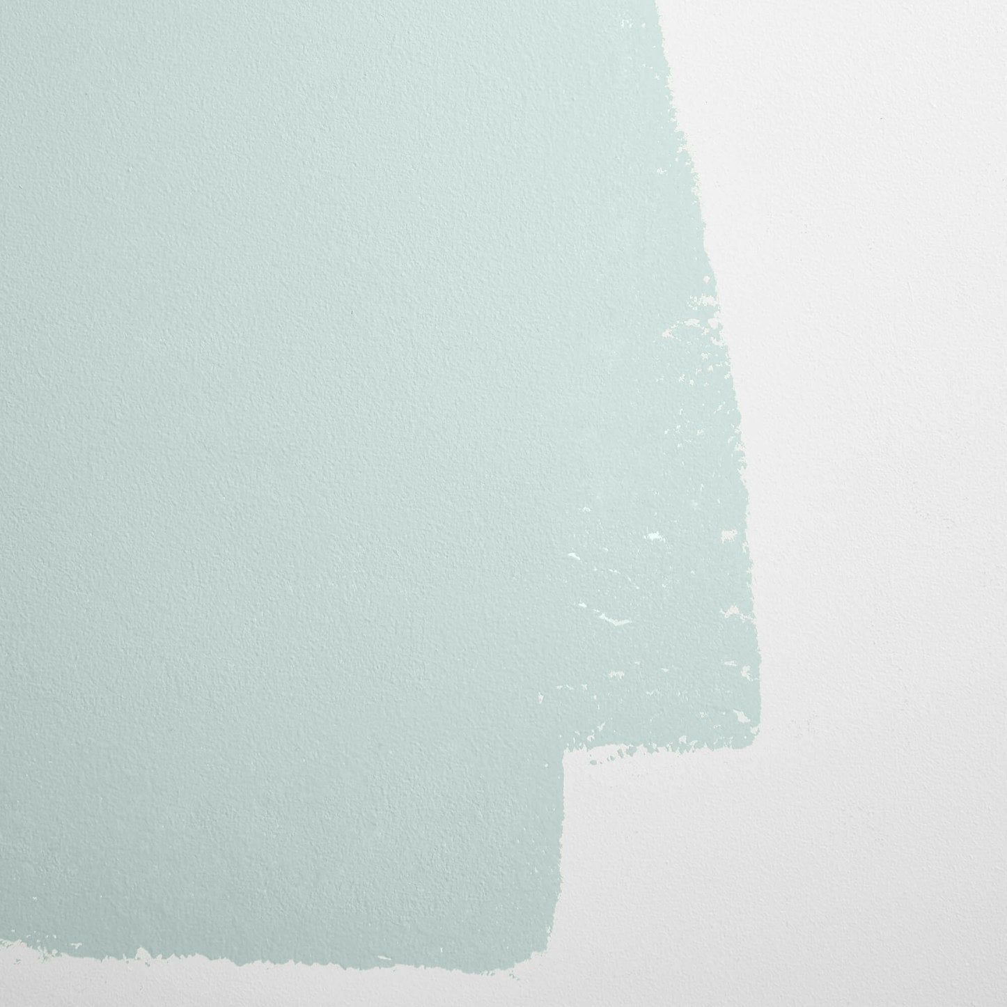 Backdrop Paint - Skywalker