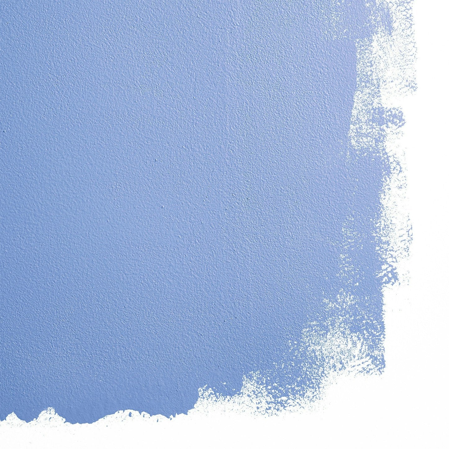 Backdrop Paint - Stromboli Chess Club