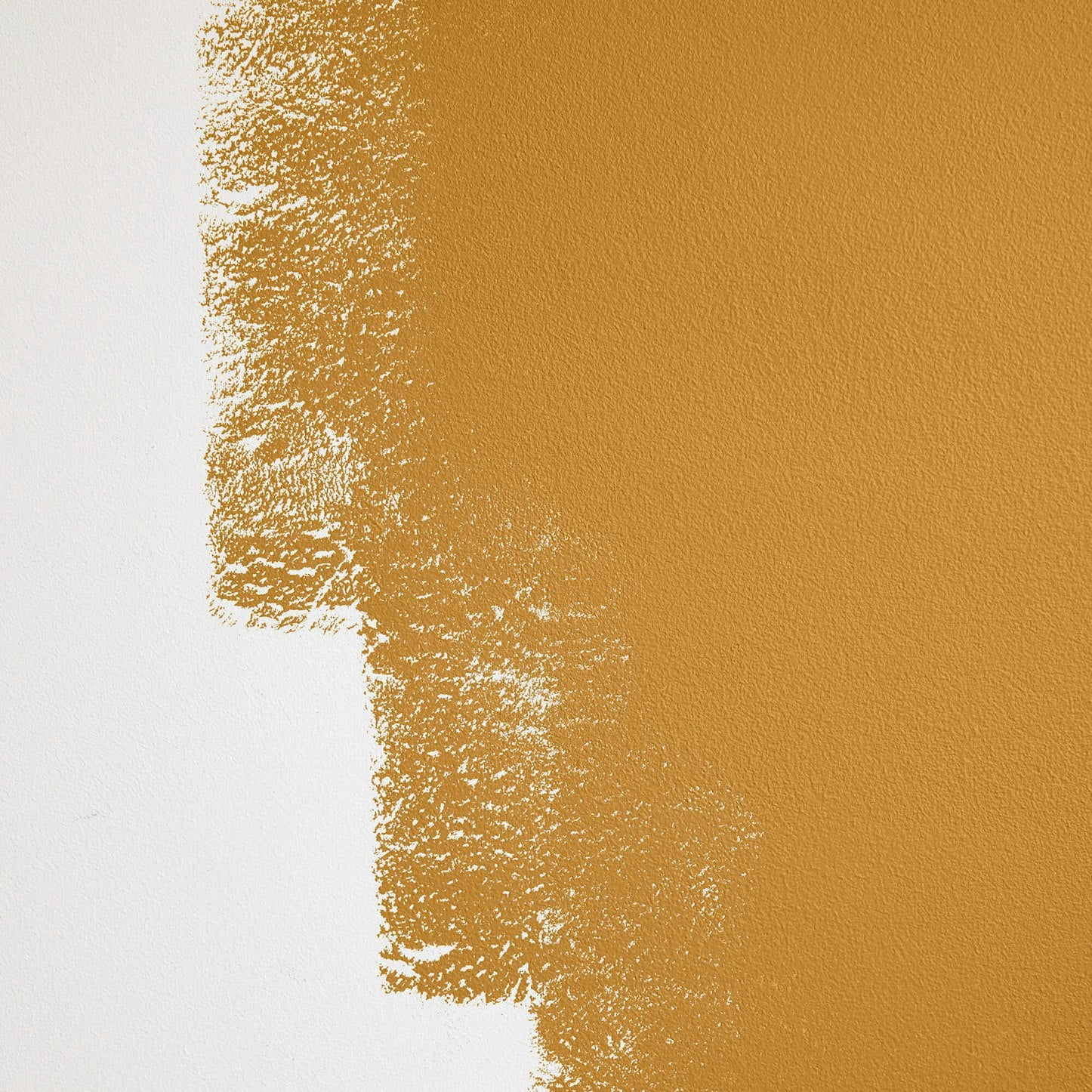 Backdrop Paint - Tanlines