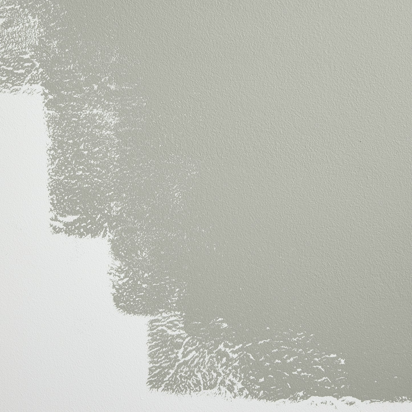 Backdrop Paint - Westside Local