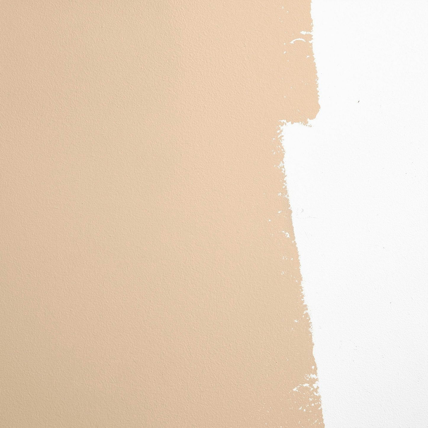 Backdrop Paint - Brooklyn Cowboy