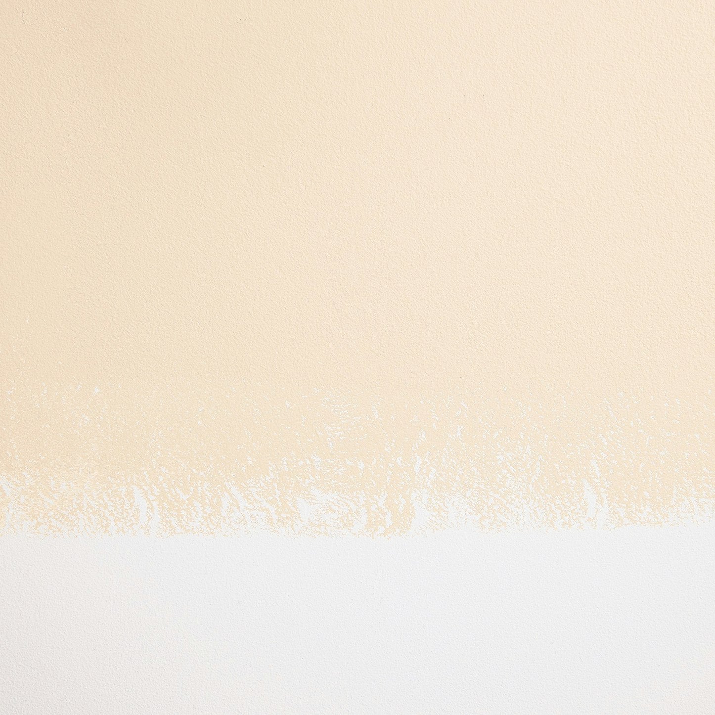 Backdrop Paint - Champagne Bonfire