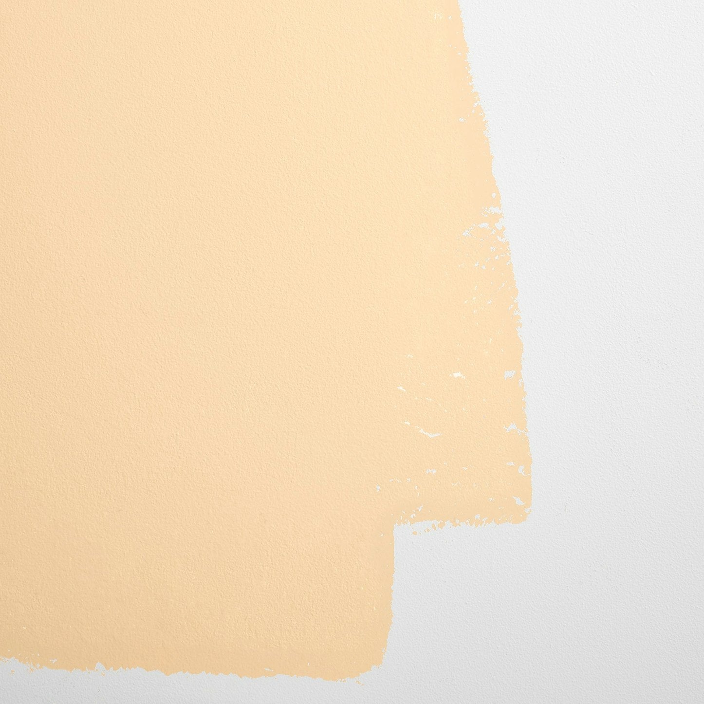 Backdrop Paint - Earthly Delights