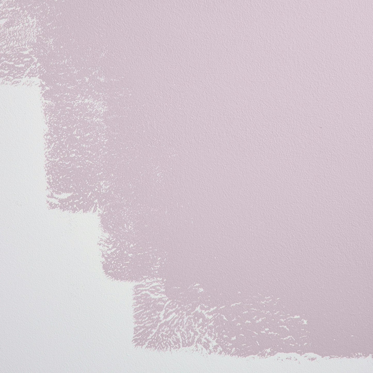Backdrop Paint - Gin Blossoms