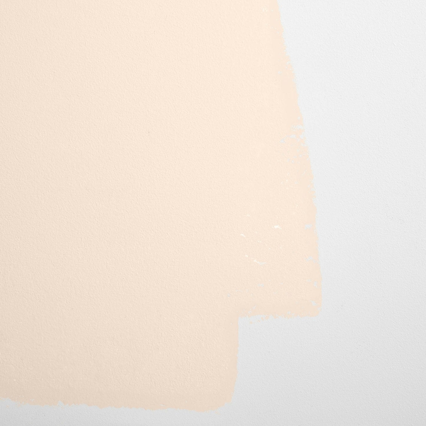 Backdrop Paint - Harajuku Morning