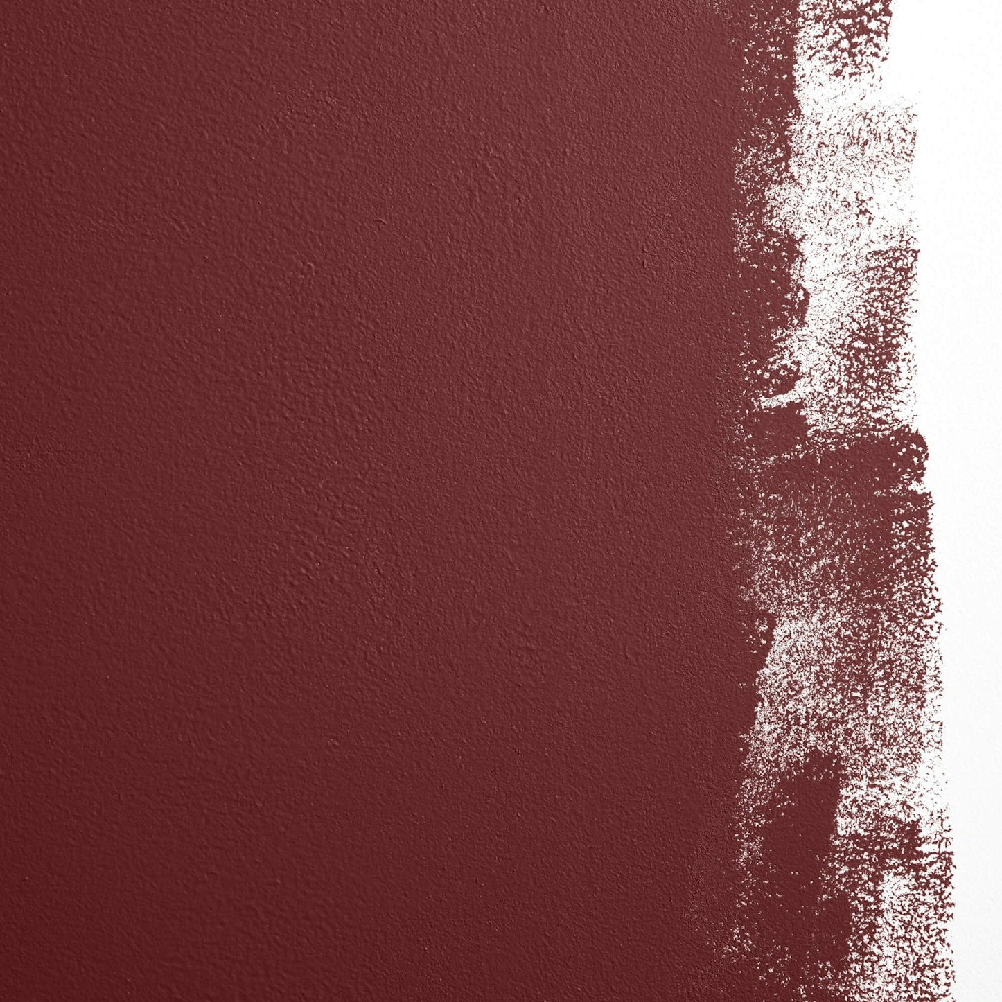 Backdrop Paint - Self-Portrait