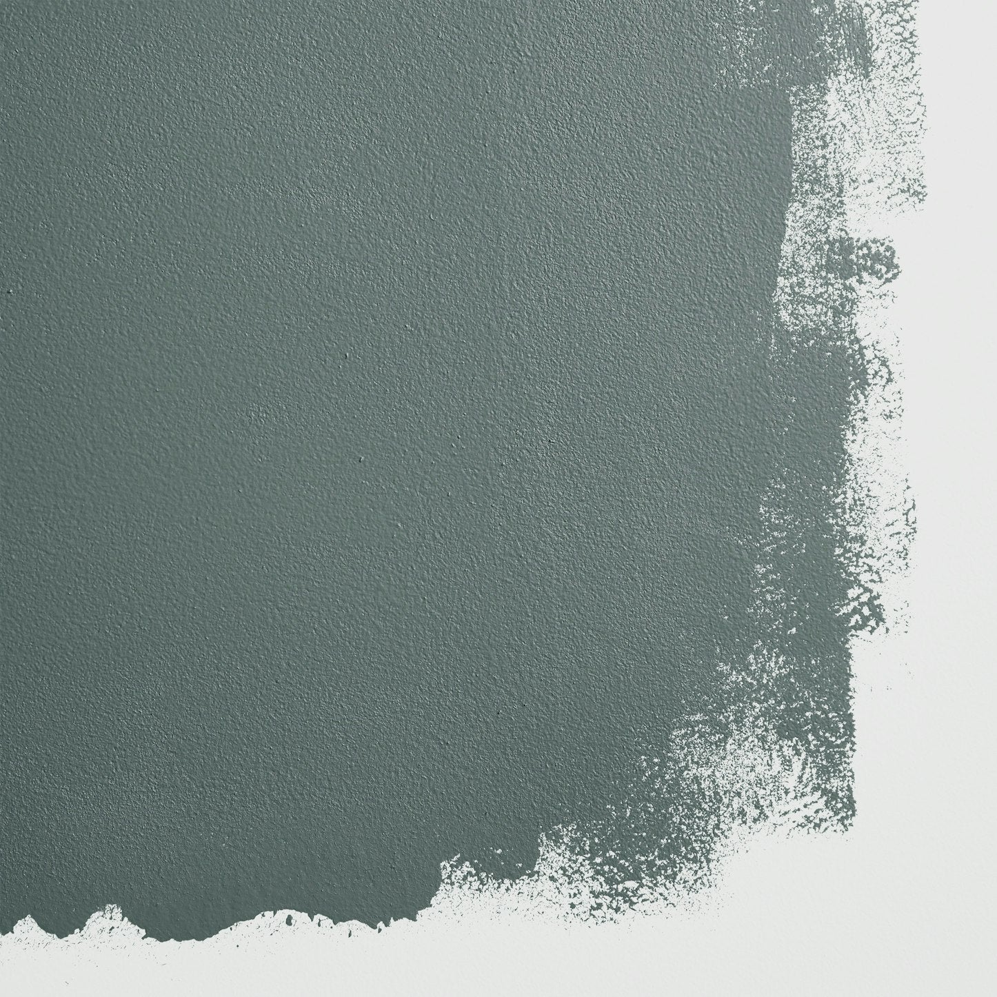 Backdrop Paint - Silver Lake Dad