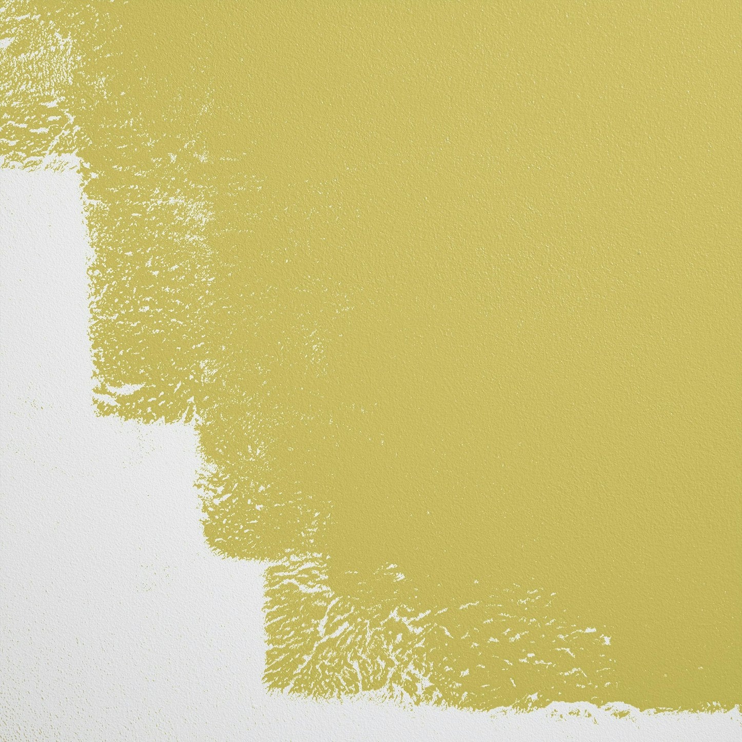 Backdrop Paint - Stardust
