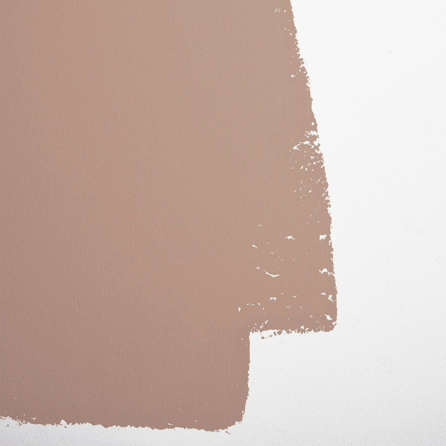 Backdrop Paint - Studio Hours