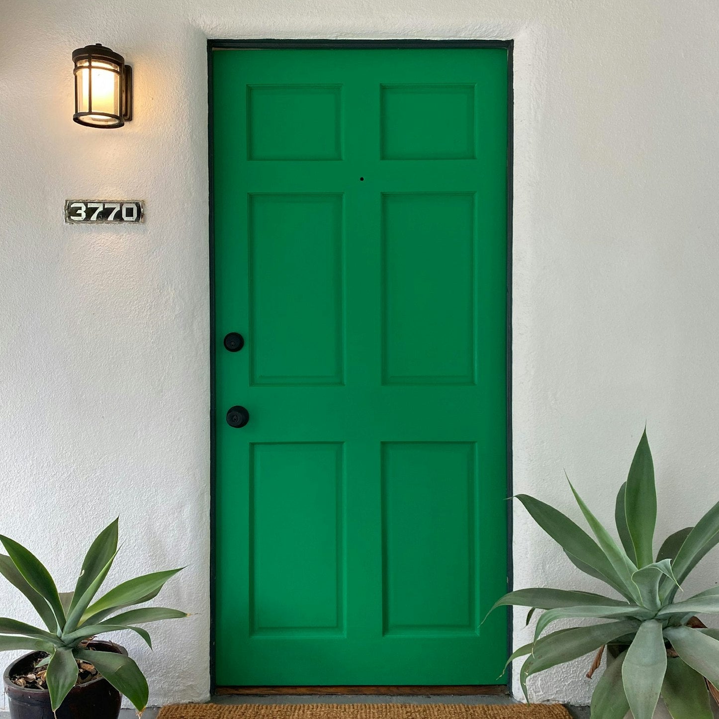 Backdrop Paint - Troop Beverly Hills