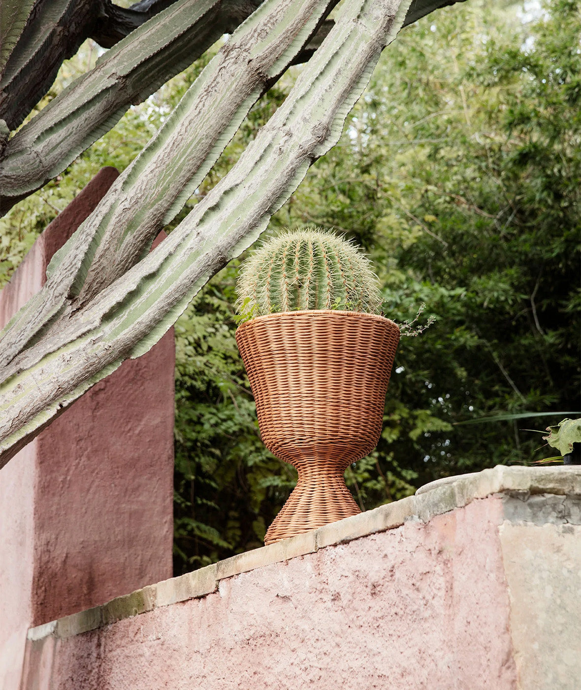 Agnes Plant Stand - Low