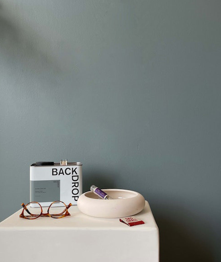 Backdrop Paint - Silver Lake Dad