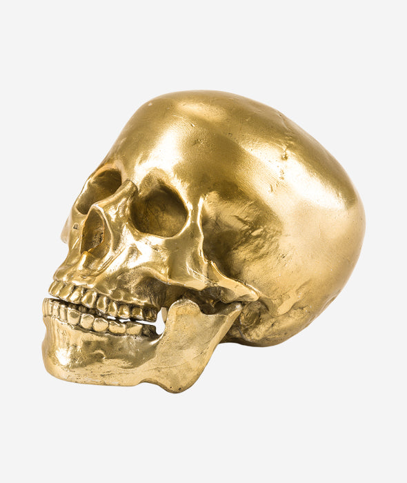 Culture Skulture Human Skull Seletti - BEAM // Design Store