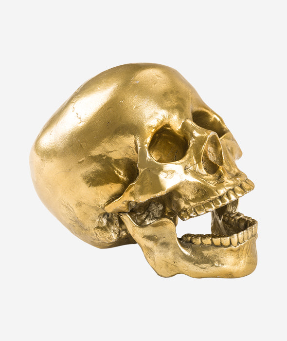 Culture Skulture Human Skull Seletti - BEAM // Design Store