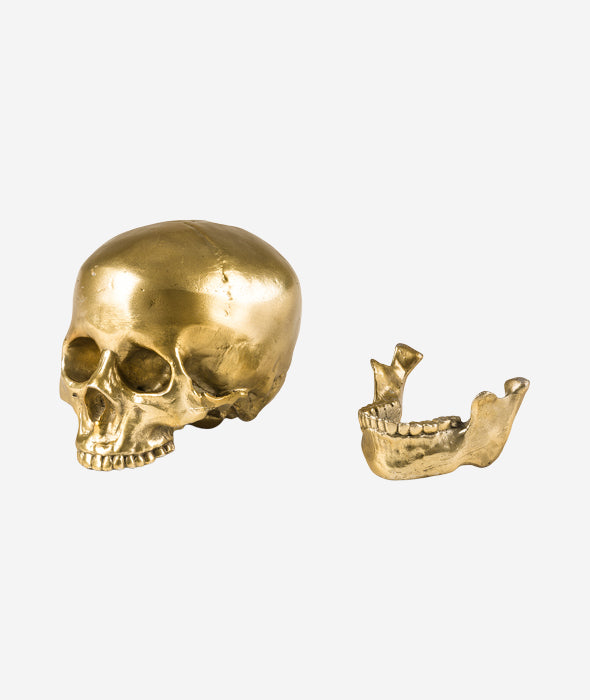 Culture Skulture Human Skull Seletti - BEAM // Design Store