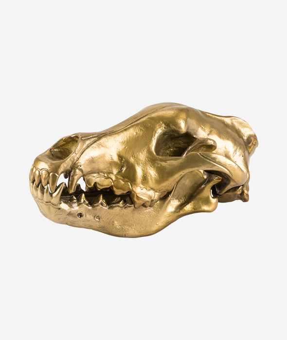 Wolf This Way Wolf Skull Seletti - BEAM // Design Store