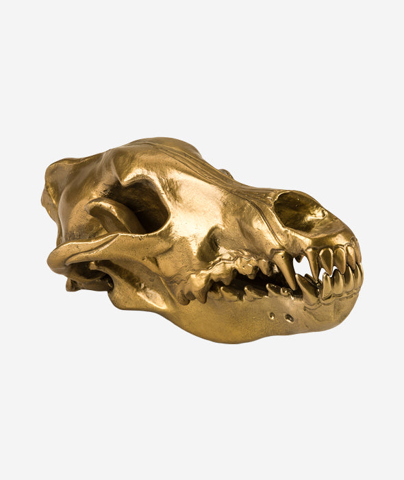 Wolf This Way Wolf Skull Seletti - BEAM // Design Store