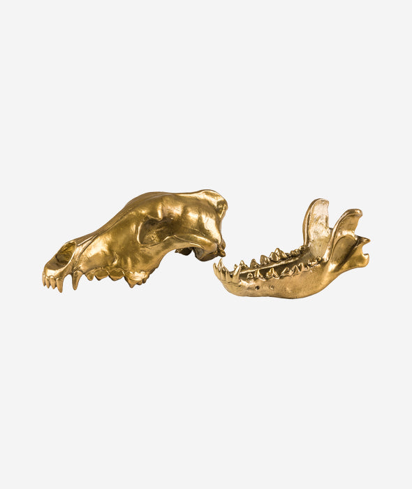 Wolf This Way Wolf Skull Seletti - BEAM // Design Store