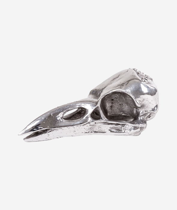 Wunderkammer Bird Skull Seletti - BEAM // Design Store