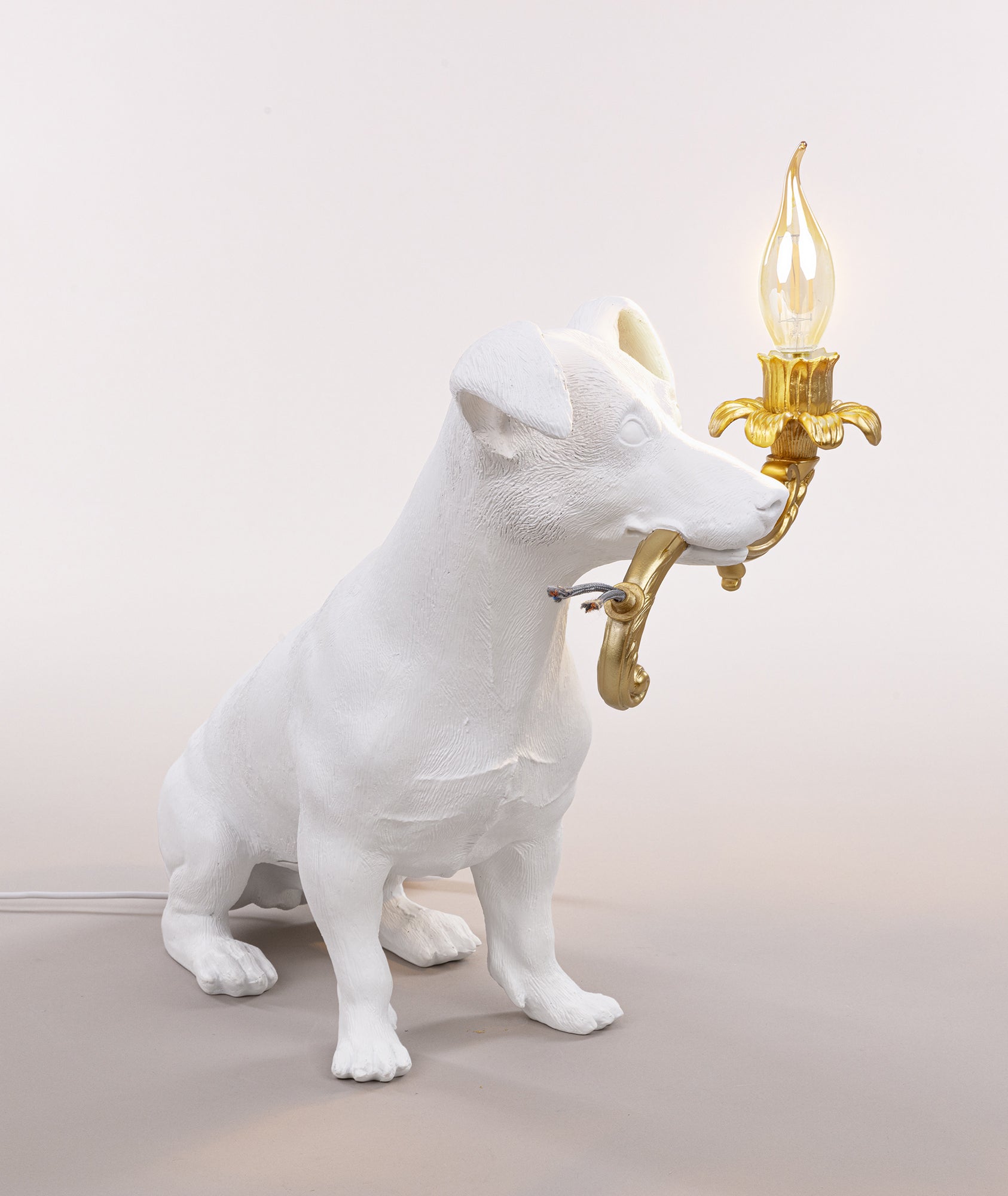 Rio Lamp