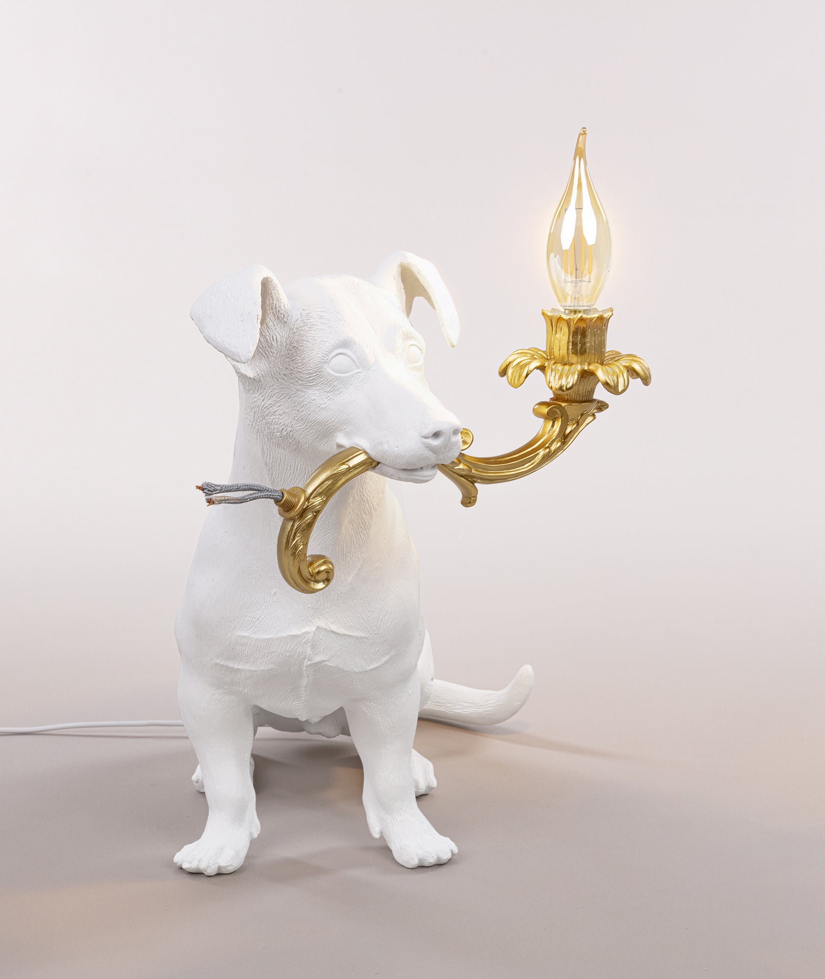 Rio Lamp
