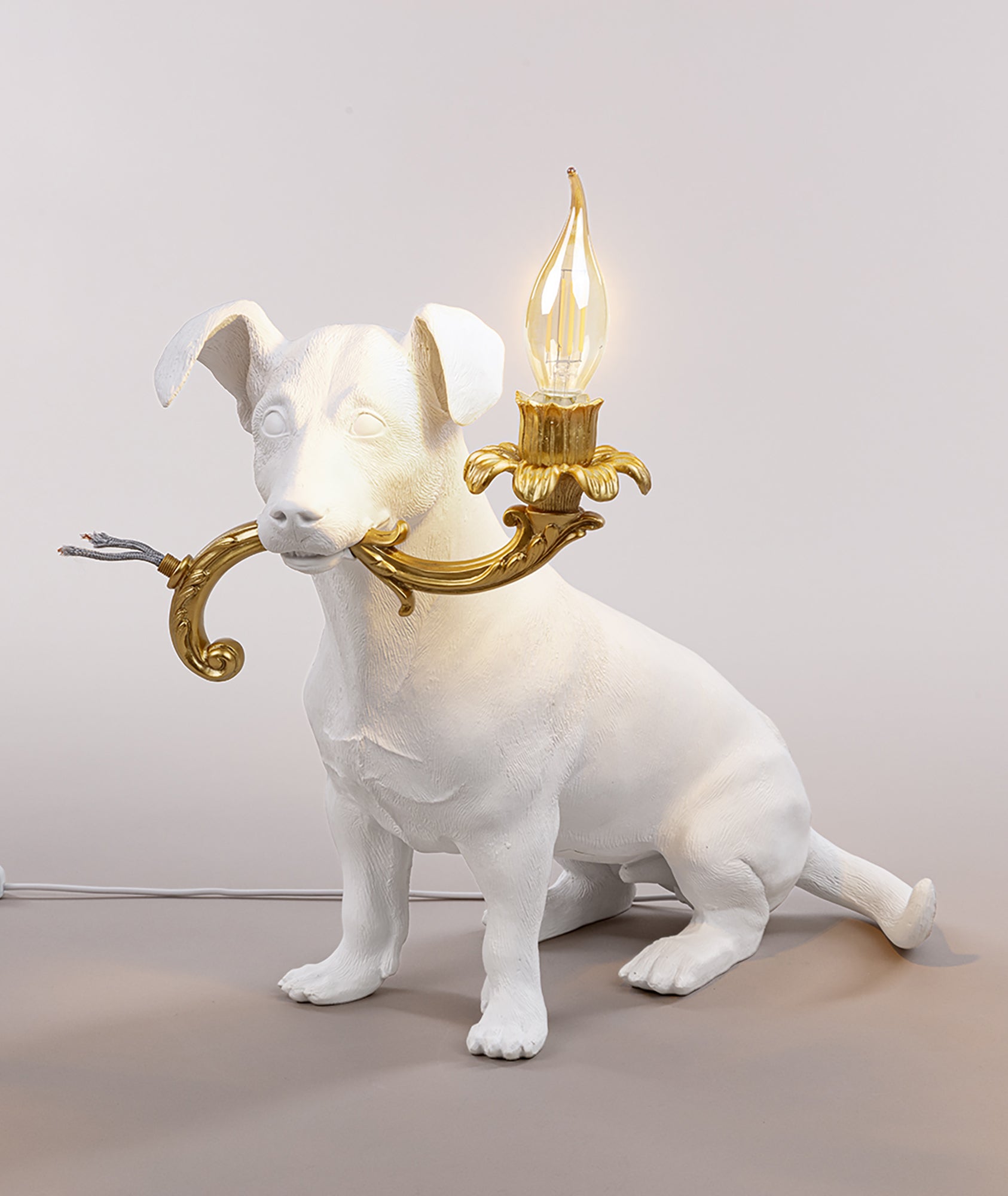Rio Lamp