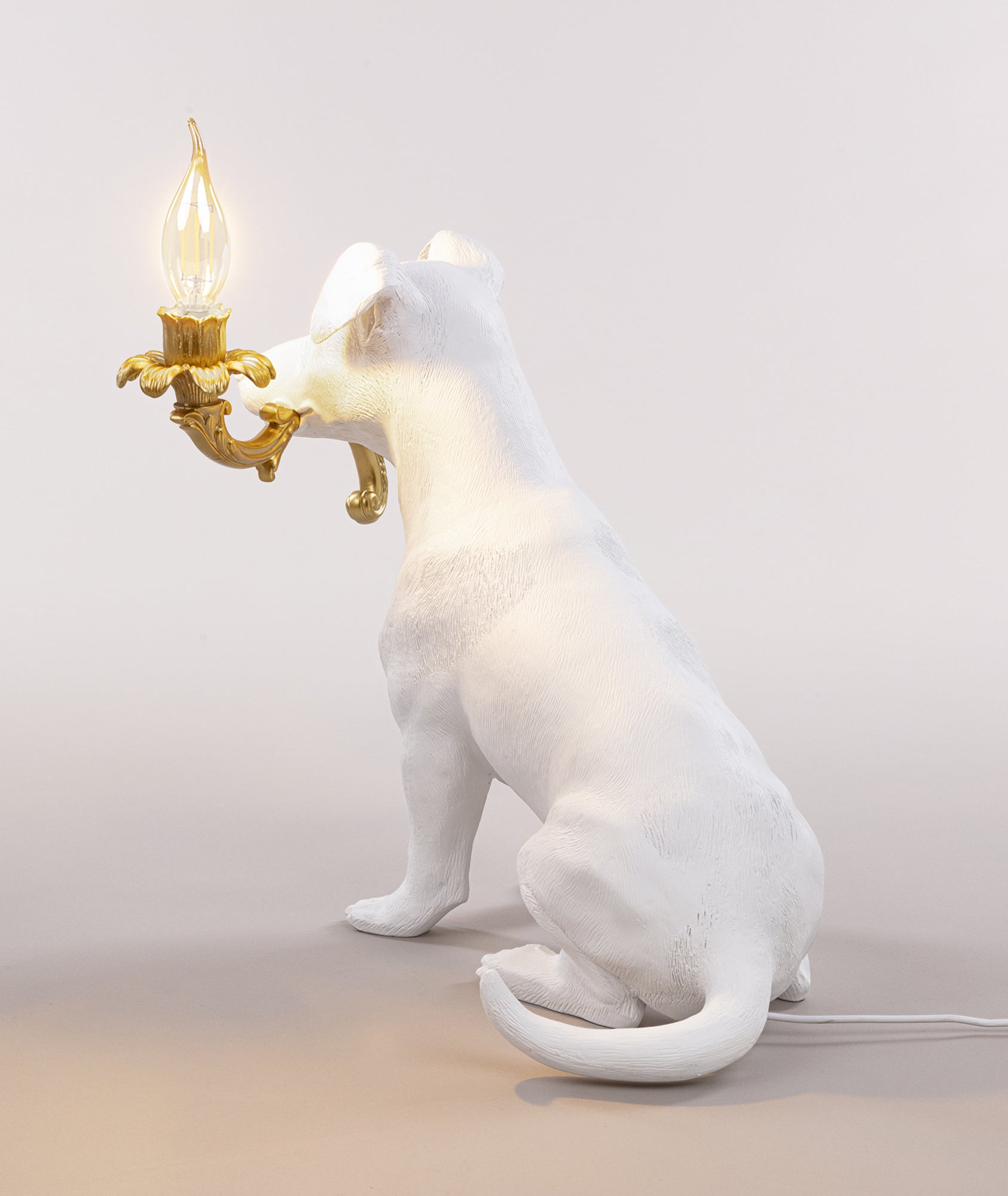 Rio Lamp