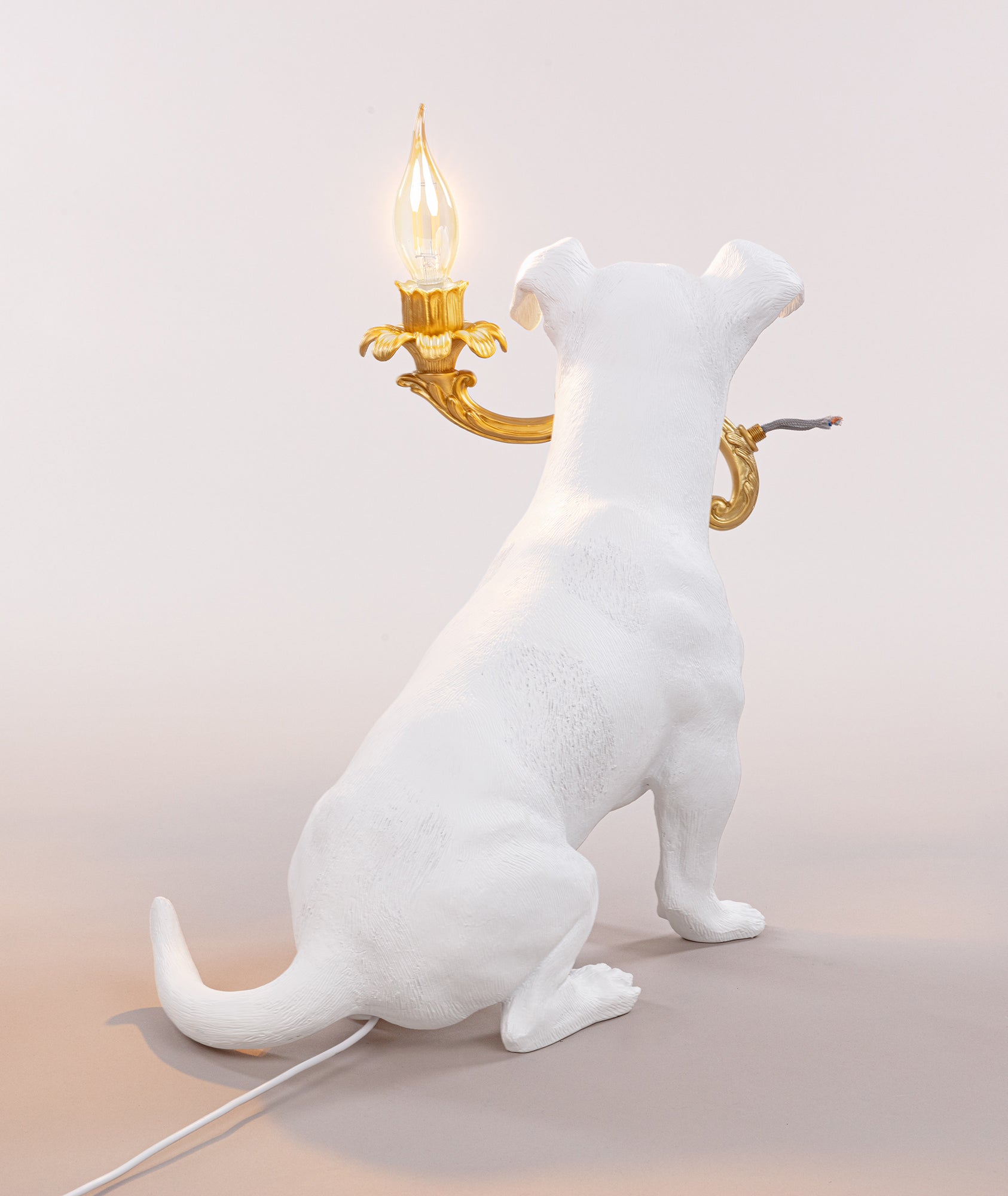 Rio Lamp
