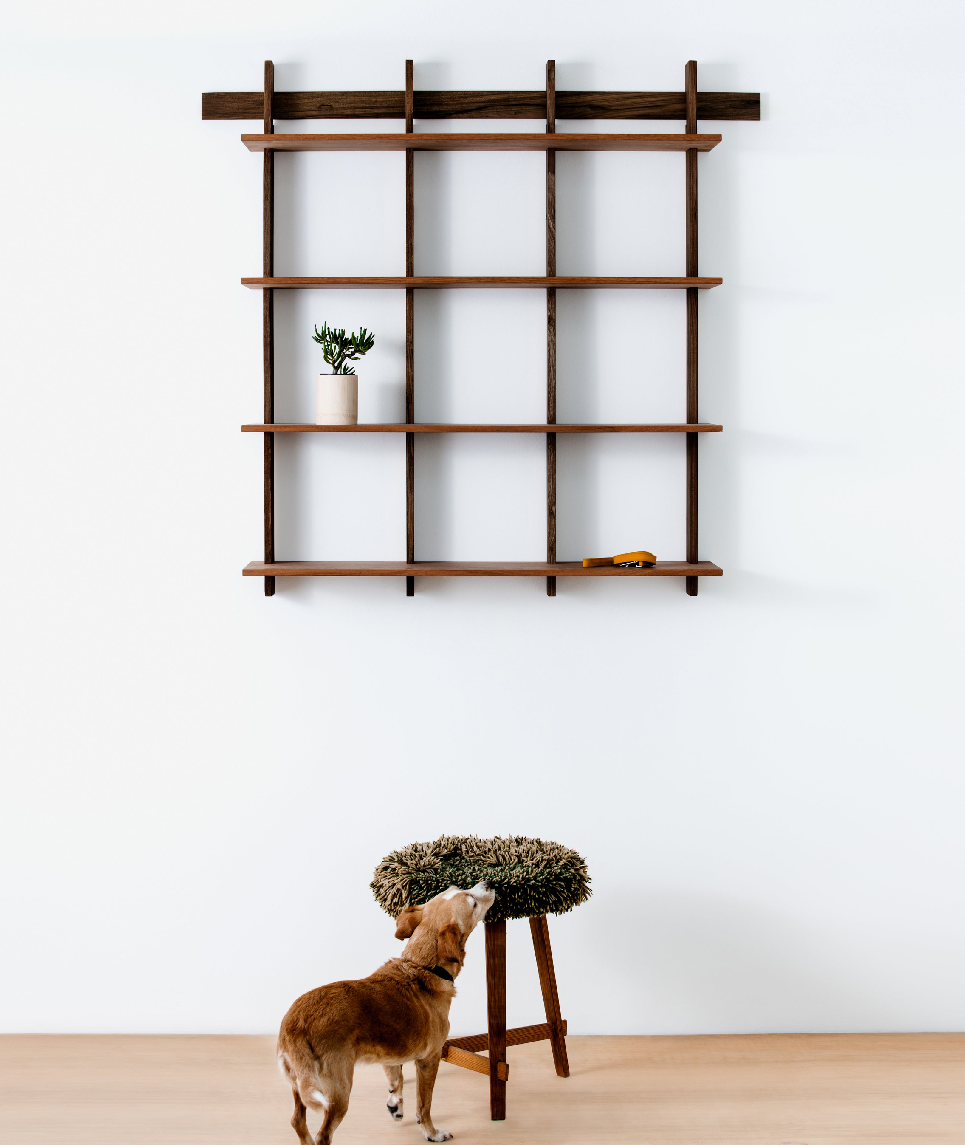 Sticotti Bookshelf Kit B - BEAM