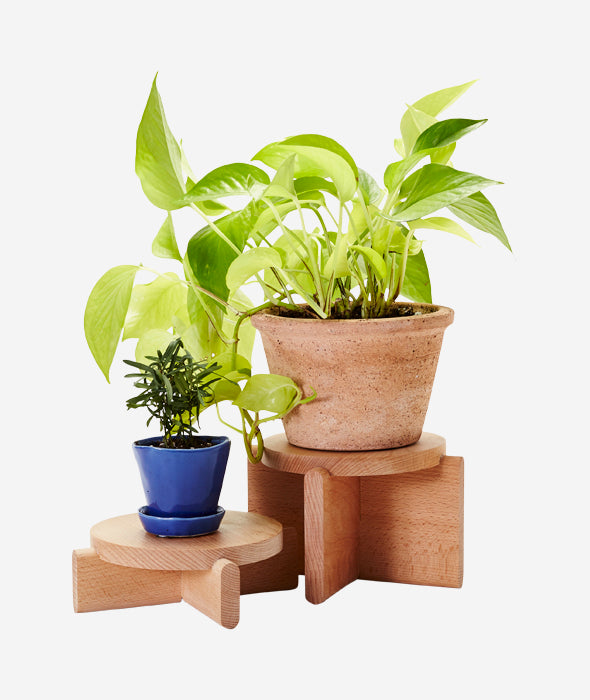 Plant Pedestals Set/2 - More Options