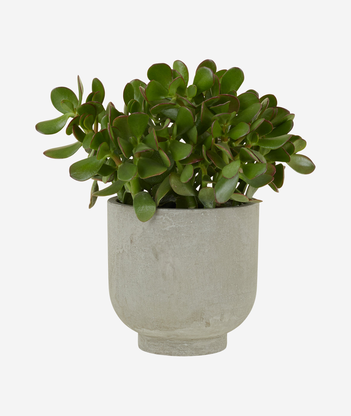 Footed Planter - More Options