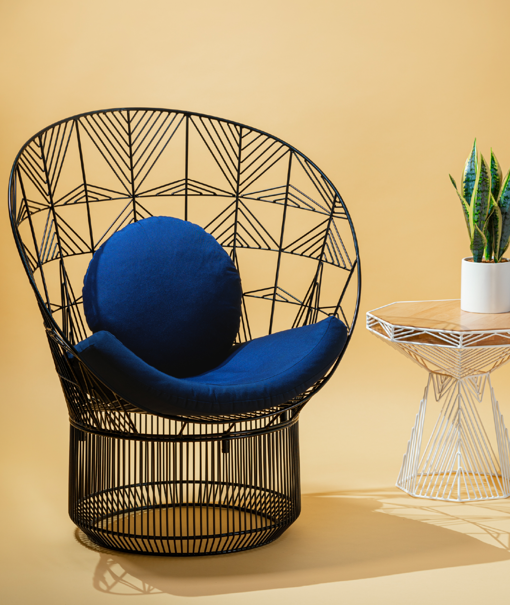 Peacock Lounge Chair - More Options